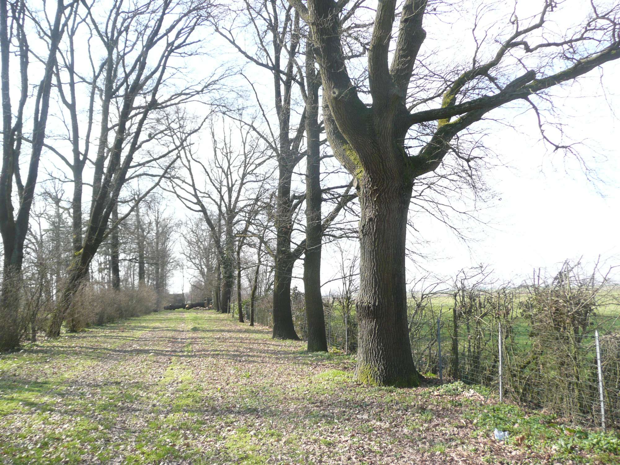 VB S. Martino Soverzano 3 BO